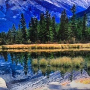 Meet your Posher, Elena